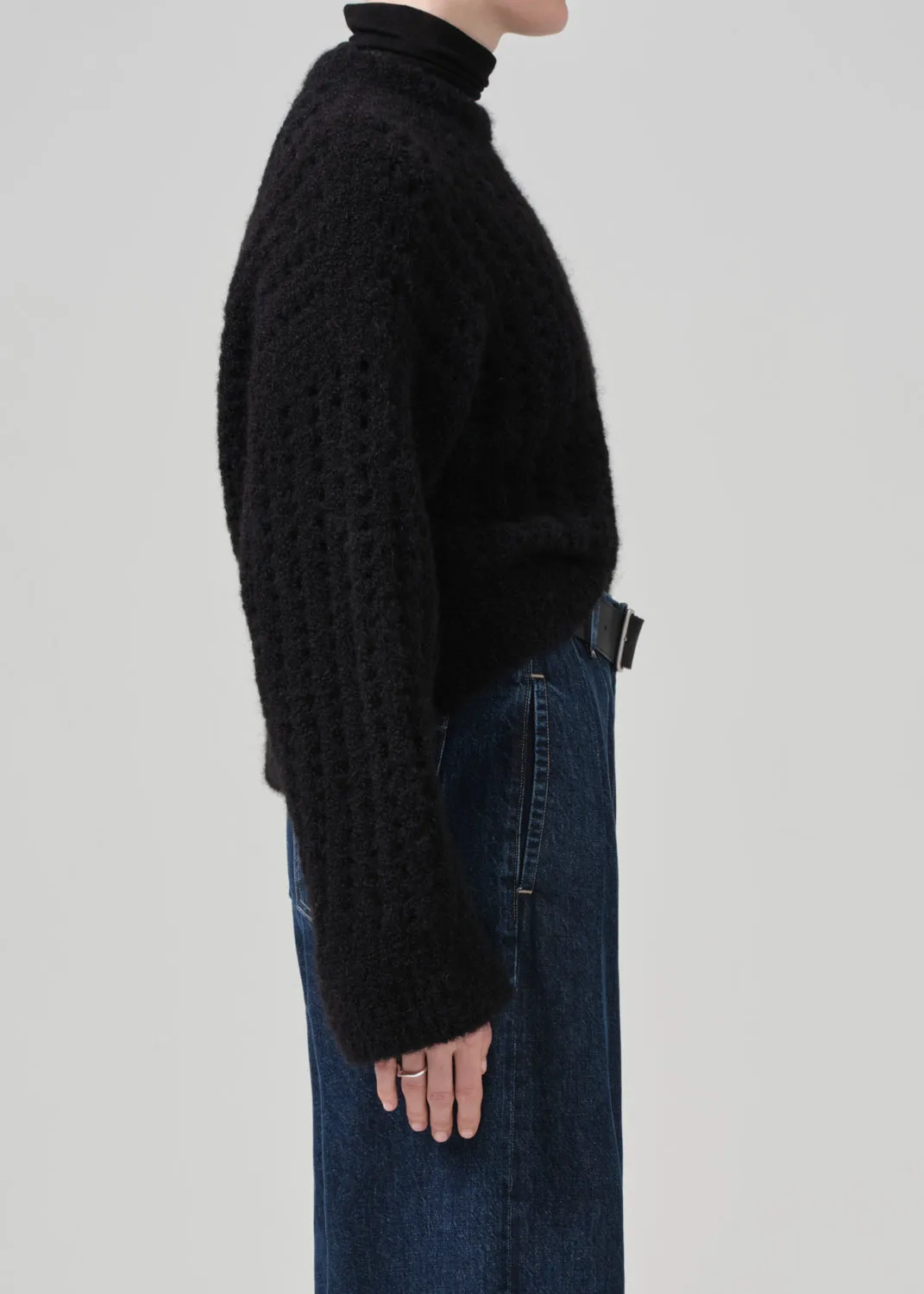 Ailani Crewneck Sweater in Black