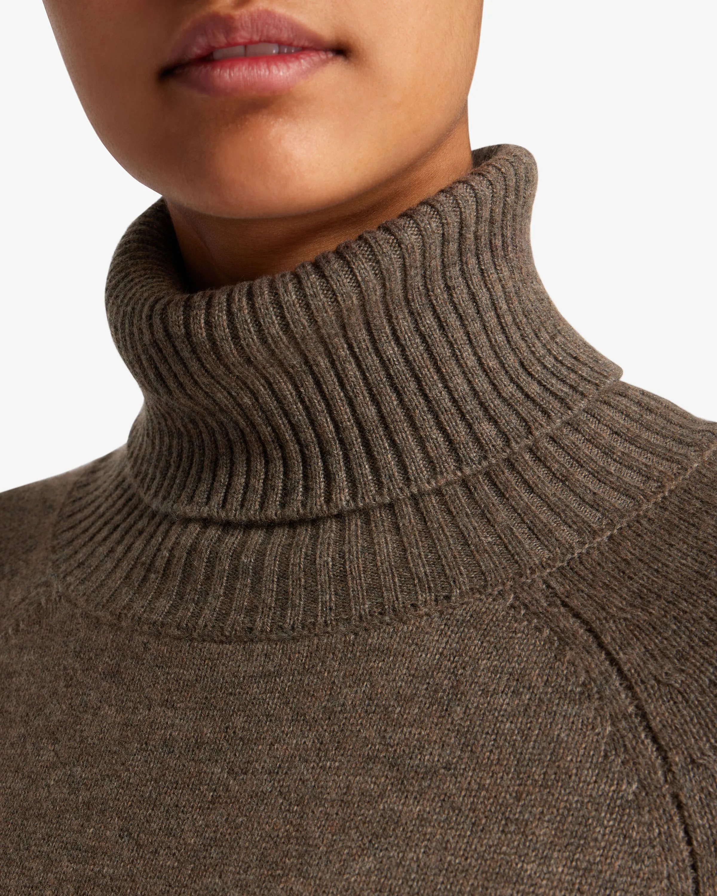 Cashmere Wool Rollneck Pullover - Dashund