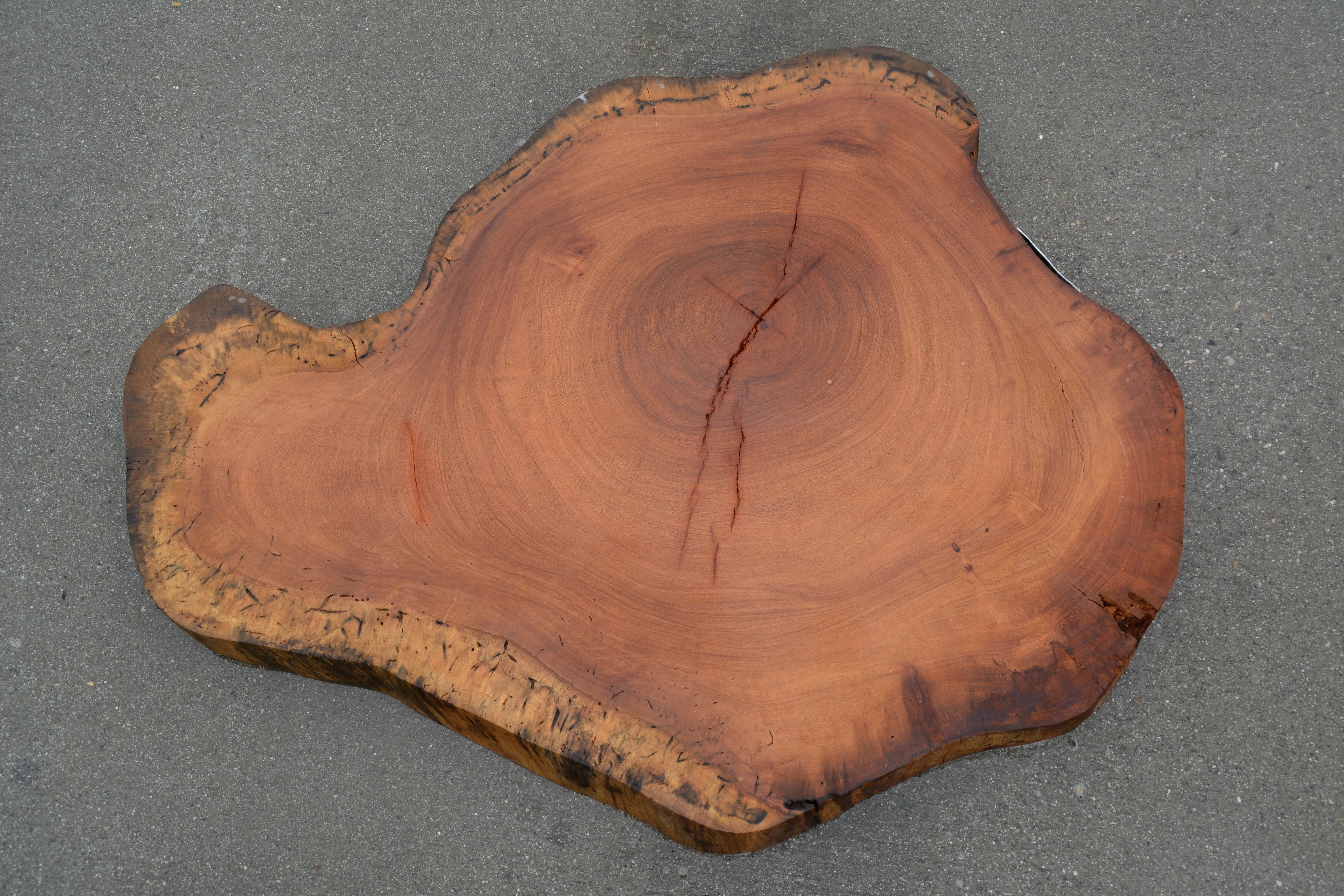 Cross-cut - Tropical Almond/Almendrillo H17328ALM