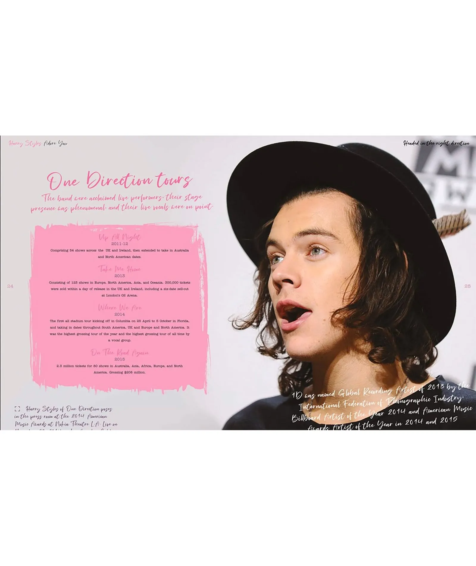 Harry Styles: Adore You The Illustrated Biography
