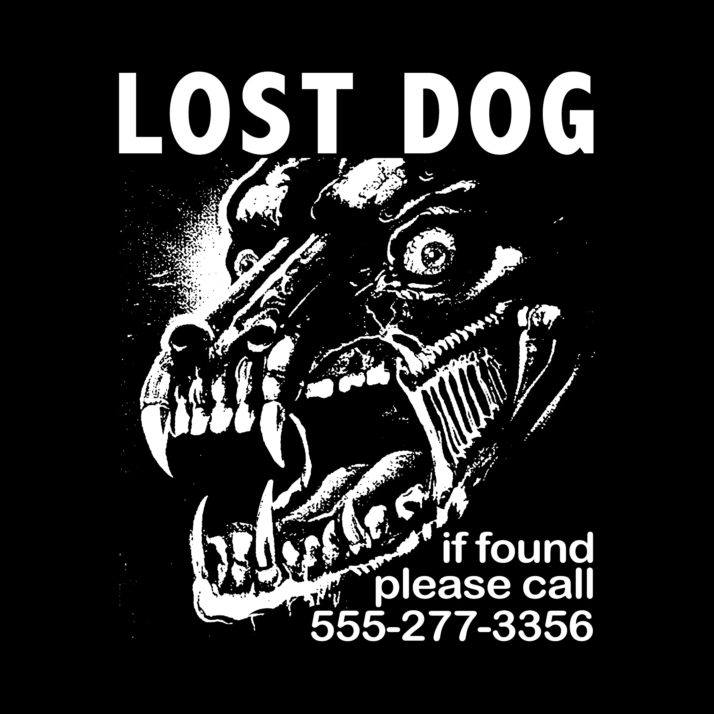 Lost Dog Slim Fit Tee
