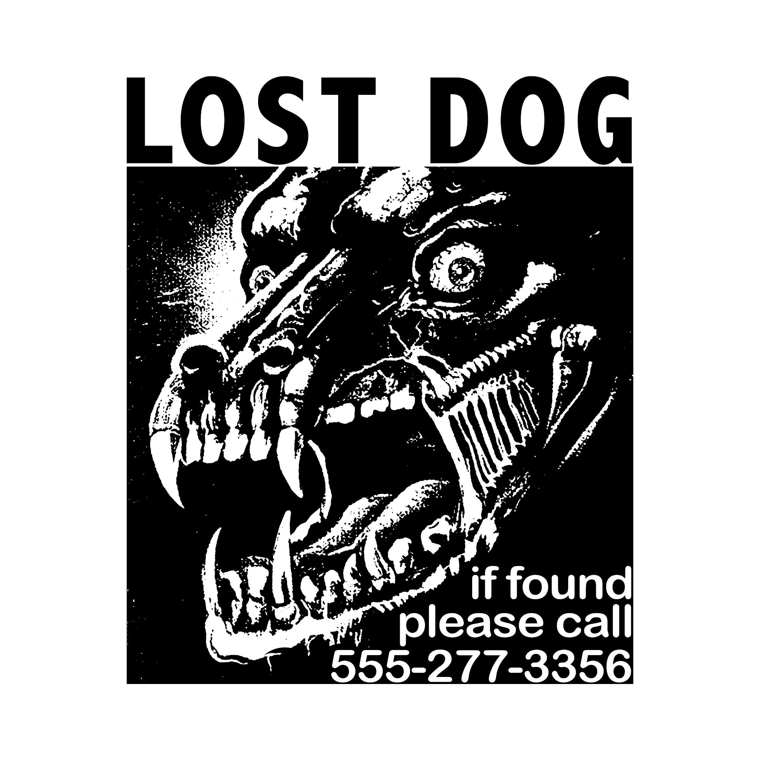 Lost Dog Slim Fit Tee