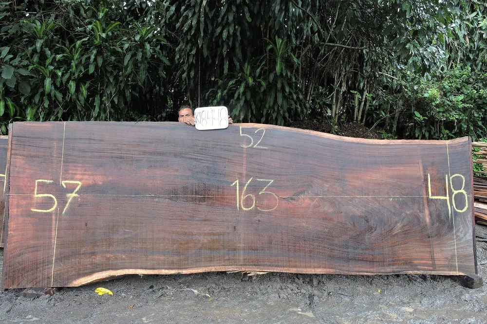 Parota/Guanacaste 163x52x2 (K18448)