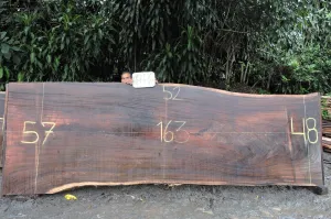 Parota/Guanacaste 163x52x2 (K18448)
