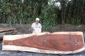 Slab K17464