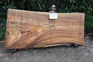 Slab K18007