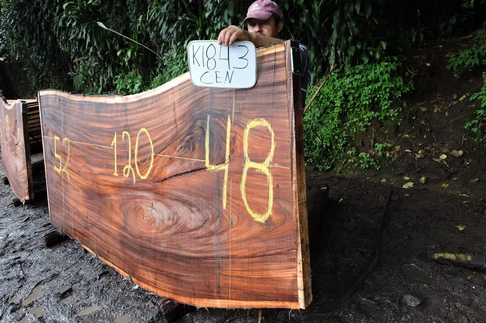 Slab K18043CEN