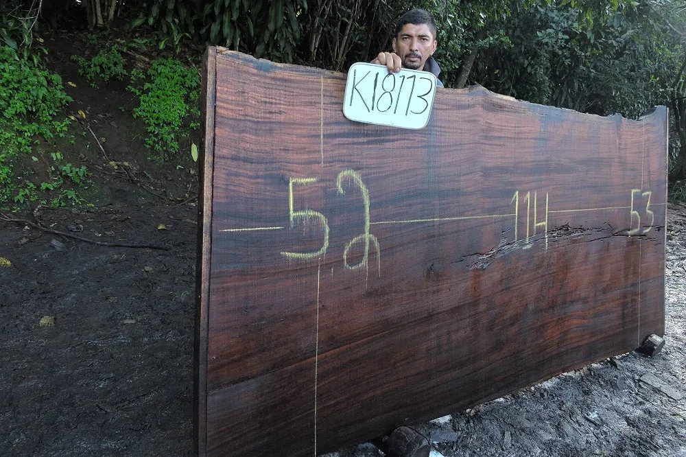 Slab K18113