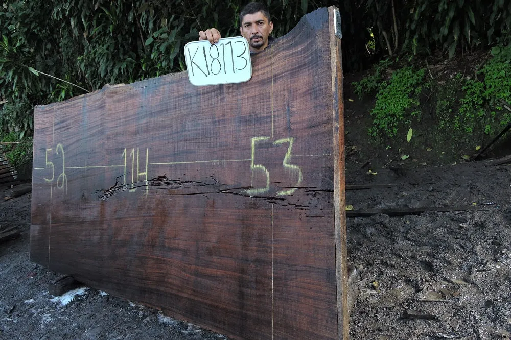 Slab K18113