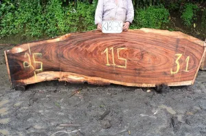 Slab K18135