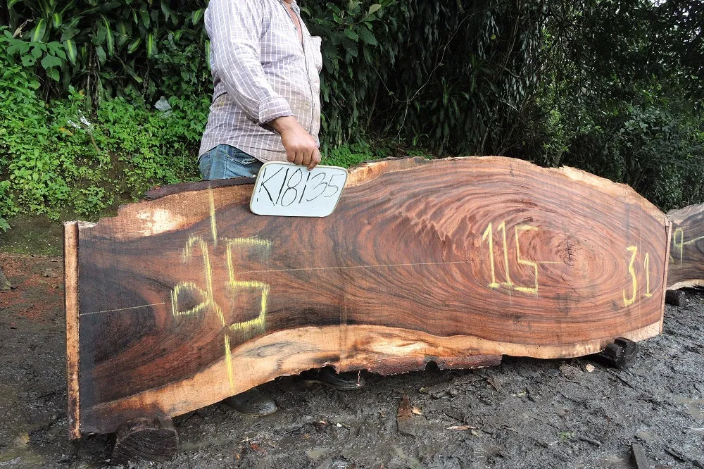 Slab K18135