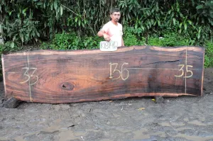 Slab K18146