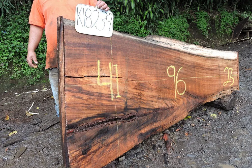 Slab K18239