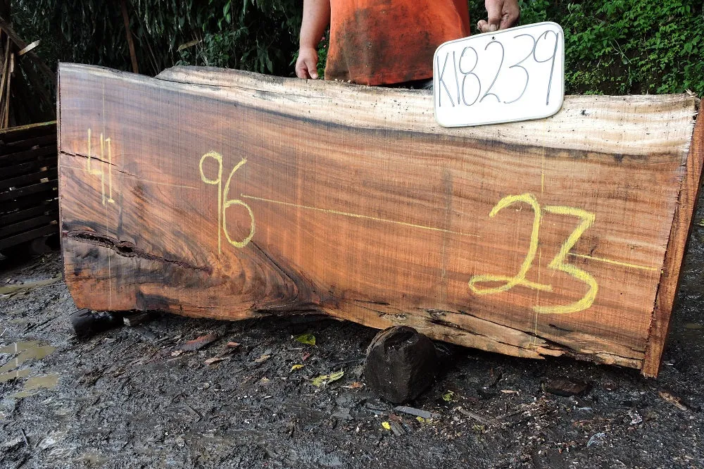 Slab K18239