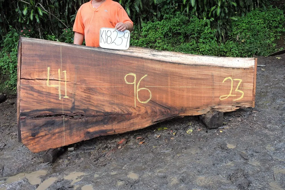 Slab K18239