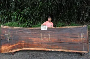 Slab K18418