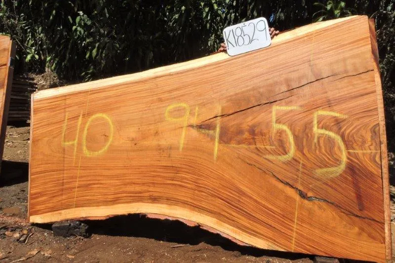 Slab K18529