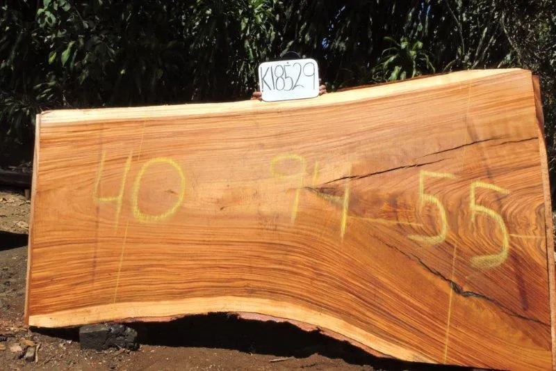 Slab K18529