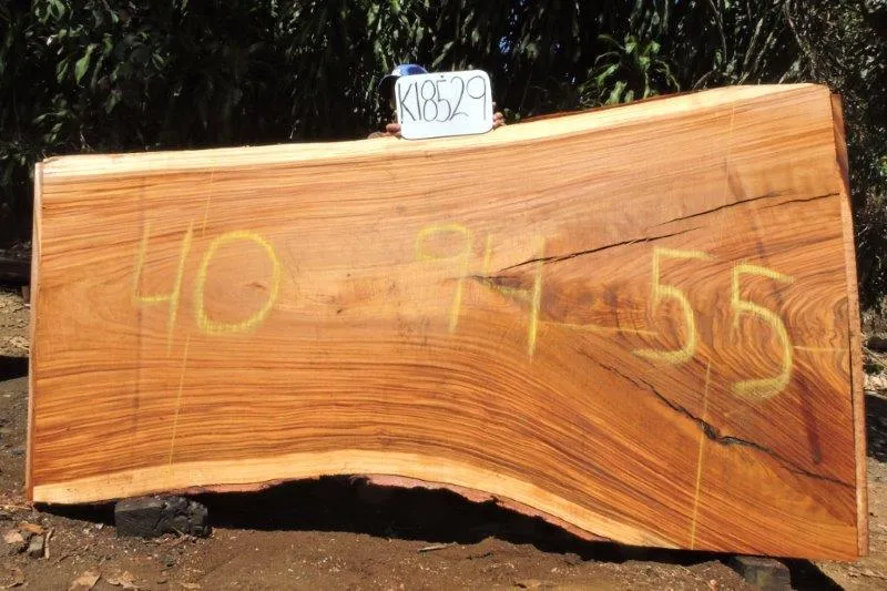 Slab K18529
