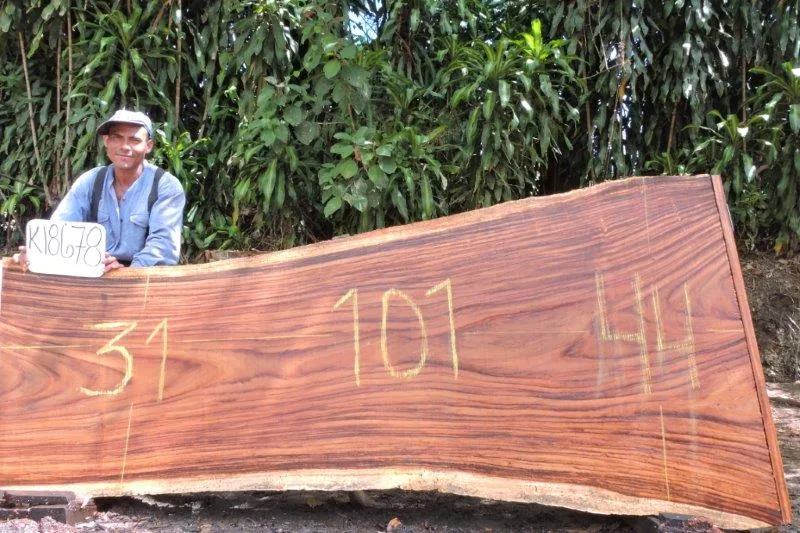 Slab K18678