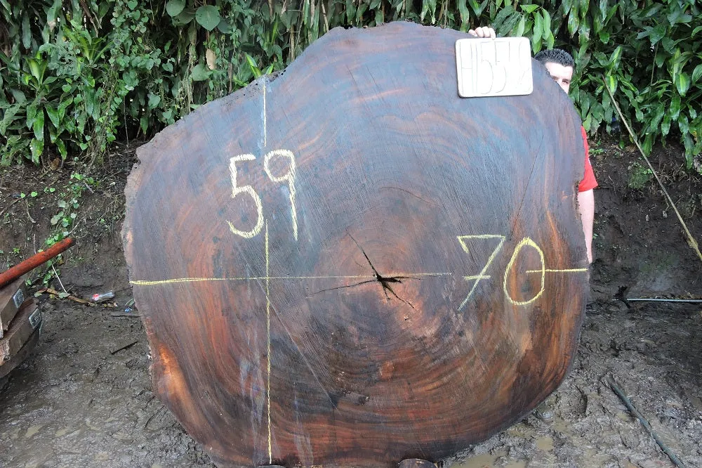 Slab LH15558