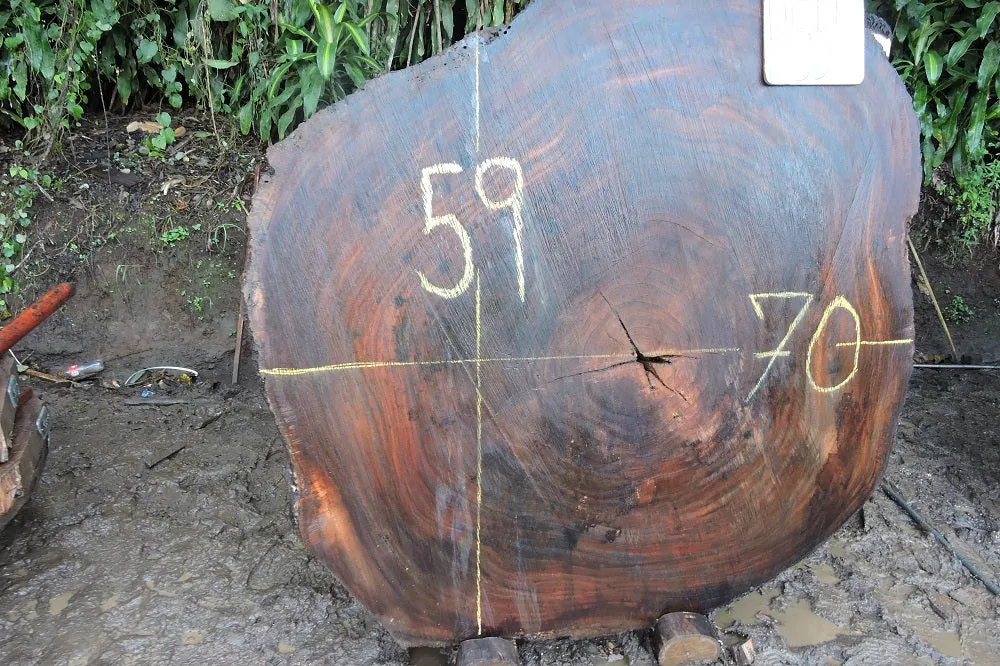 Slab LH15558