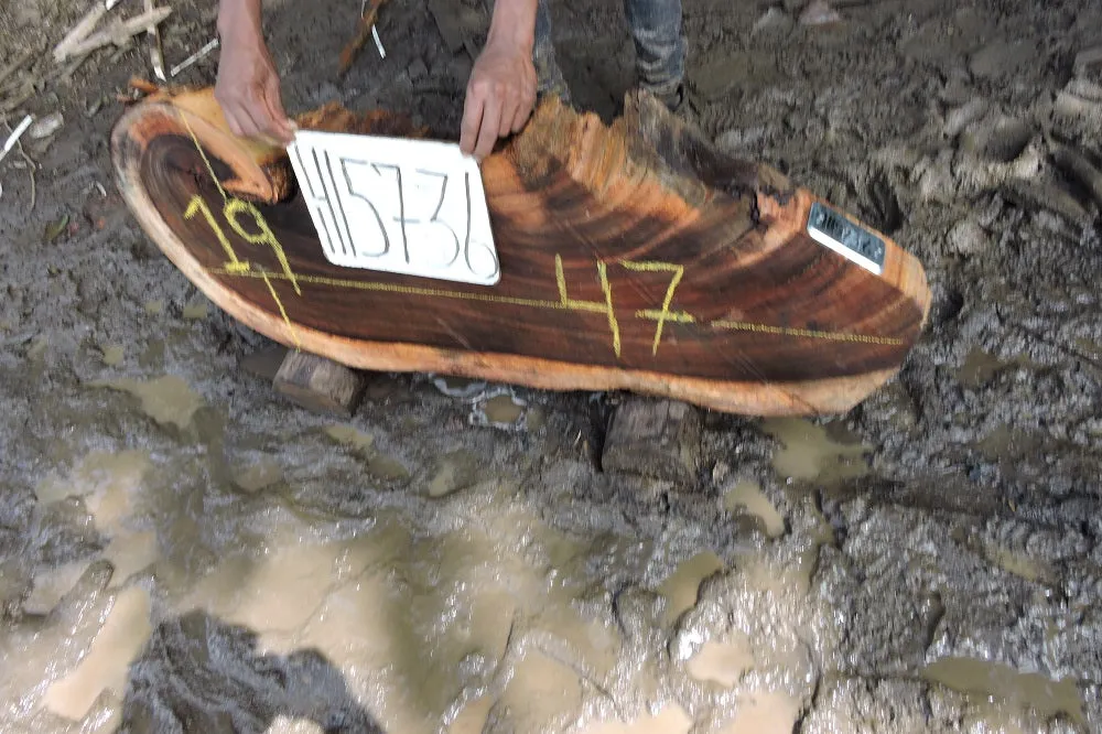 Slab LH15736
