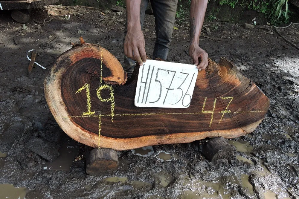 Slab LH15736