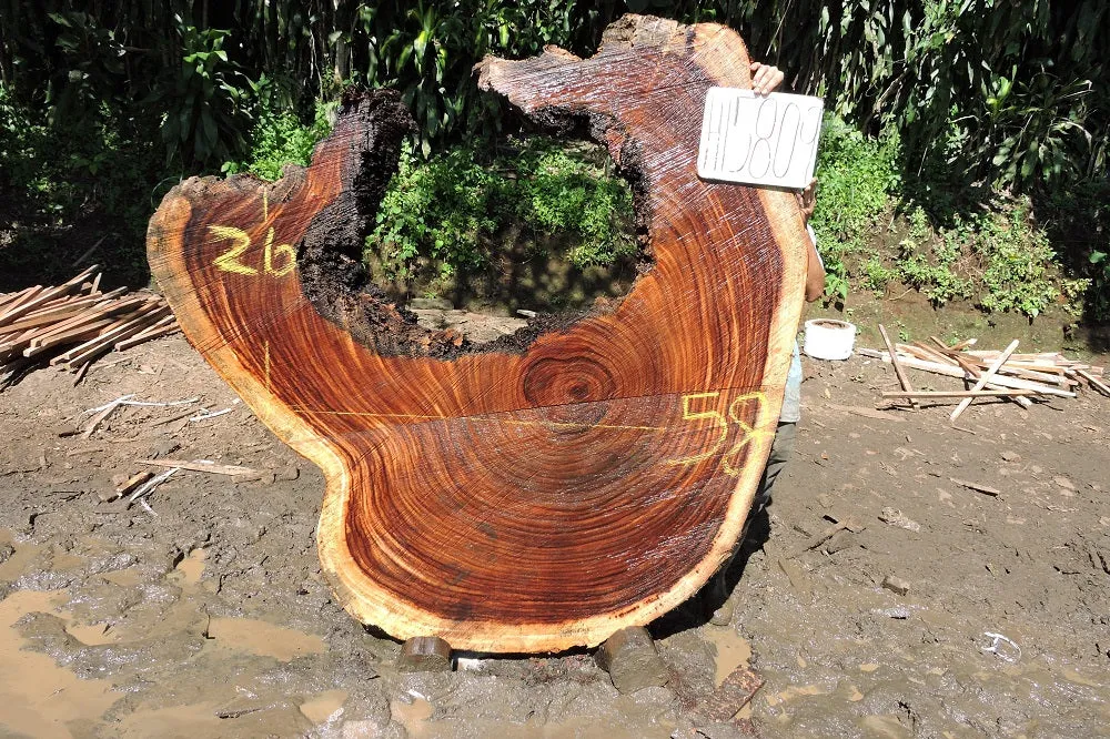 Slab LH15809