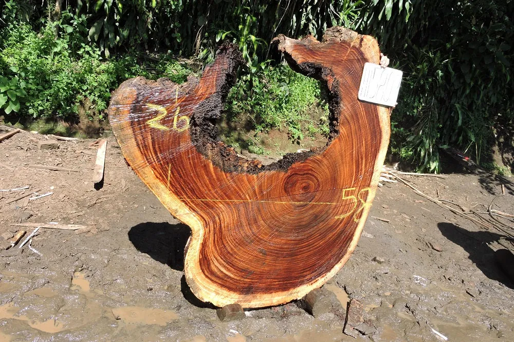 Slab LH15809
