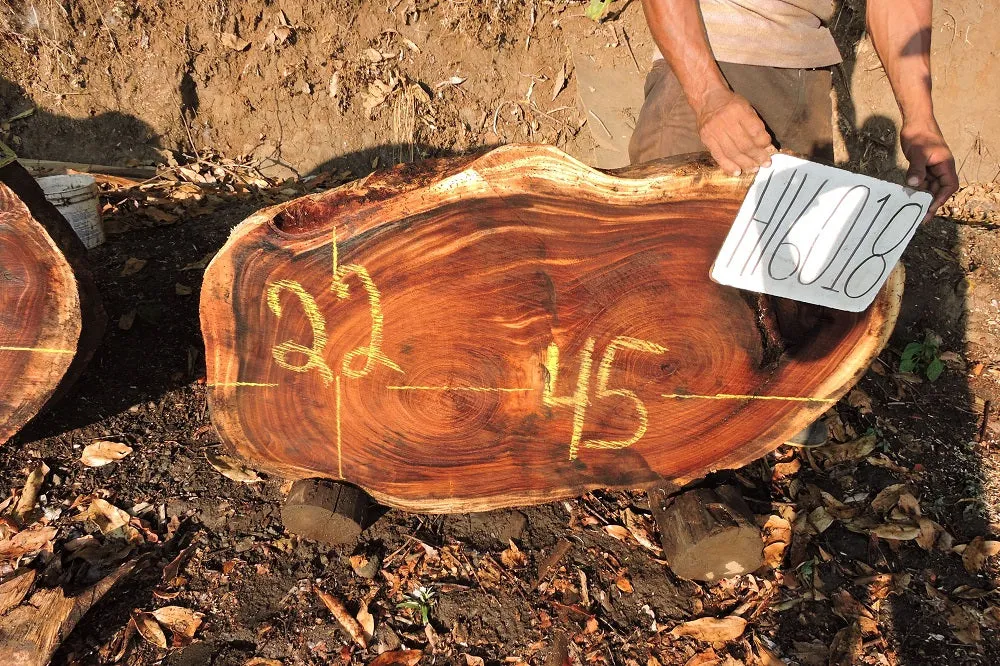 Slab LH16018