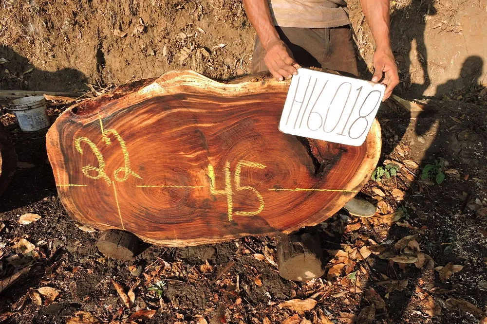 Slab LH16018