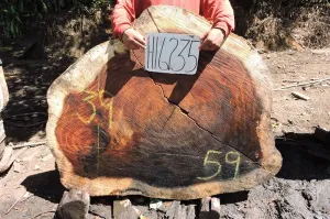 Slab LH16235