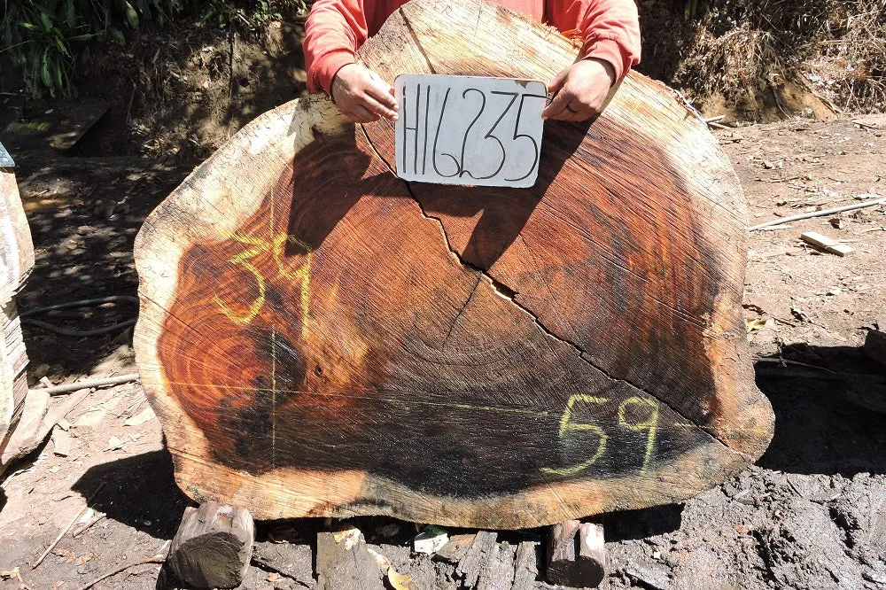 Slab LH16235