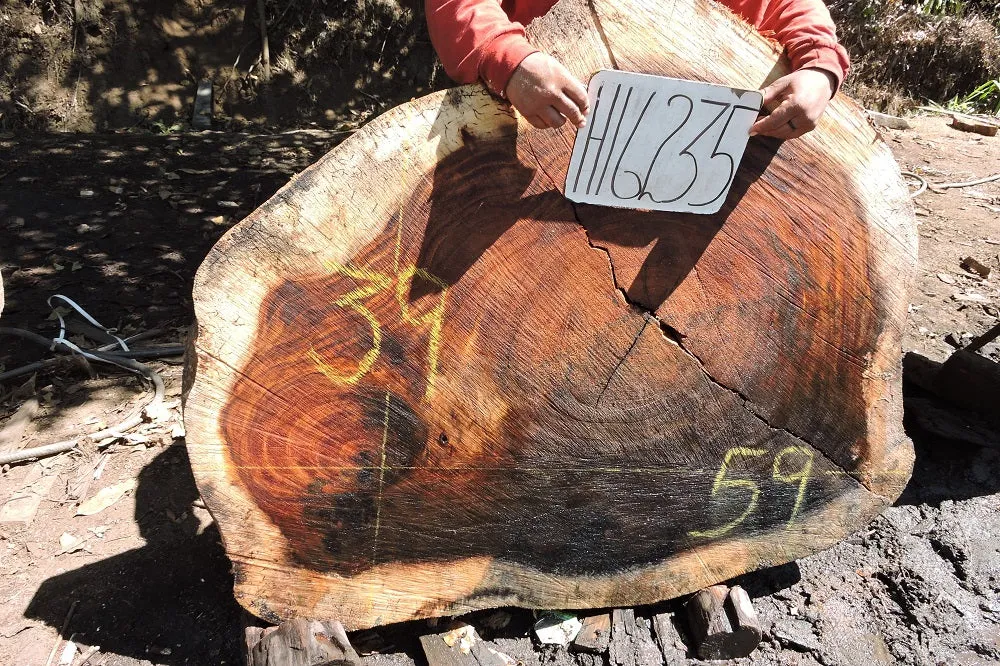 Slab LH16235