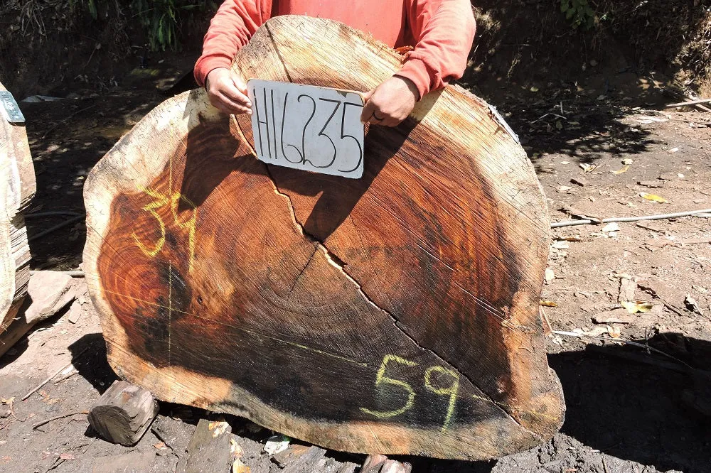 Slab LH16235