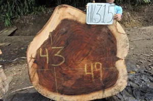 Slab LH16315