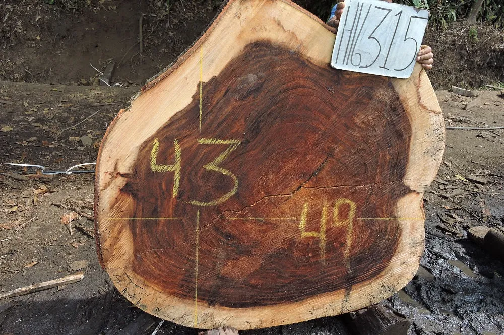 Slab LH16315