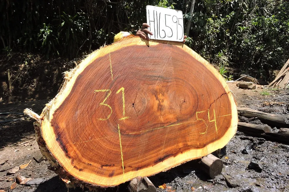 Slab LH16595