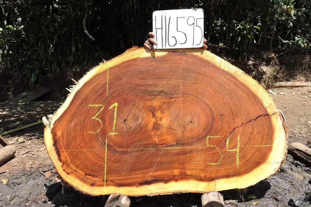 Slab LH16595