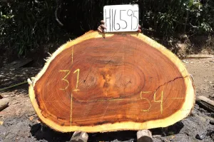 Slab LH16595