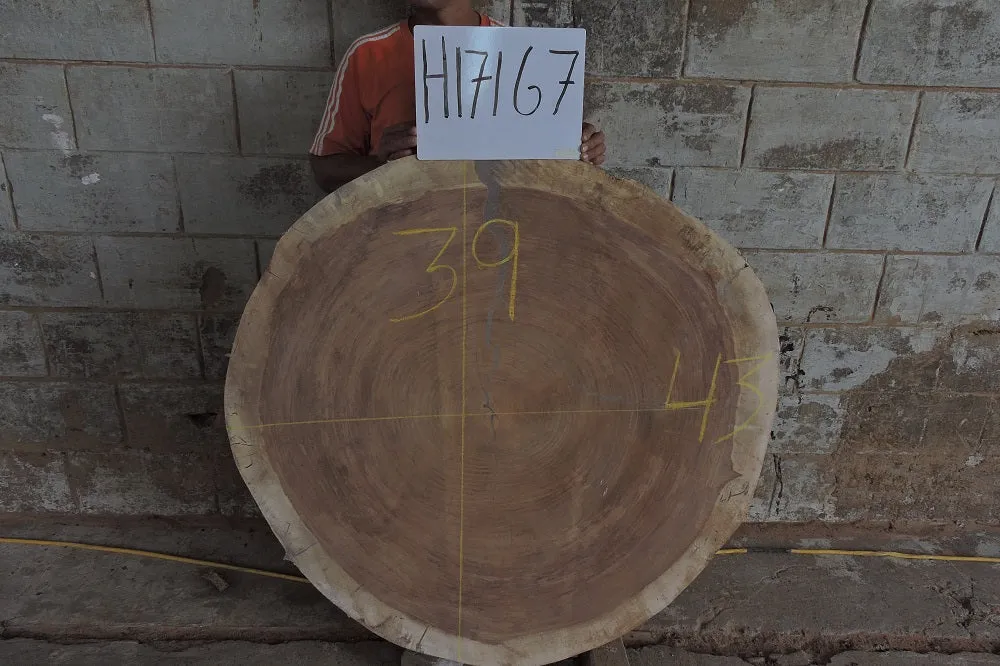 Slab LH17167