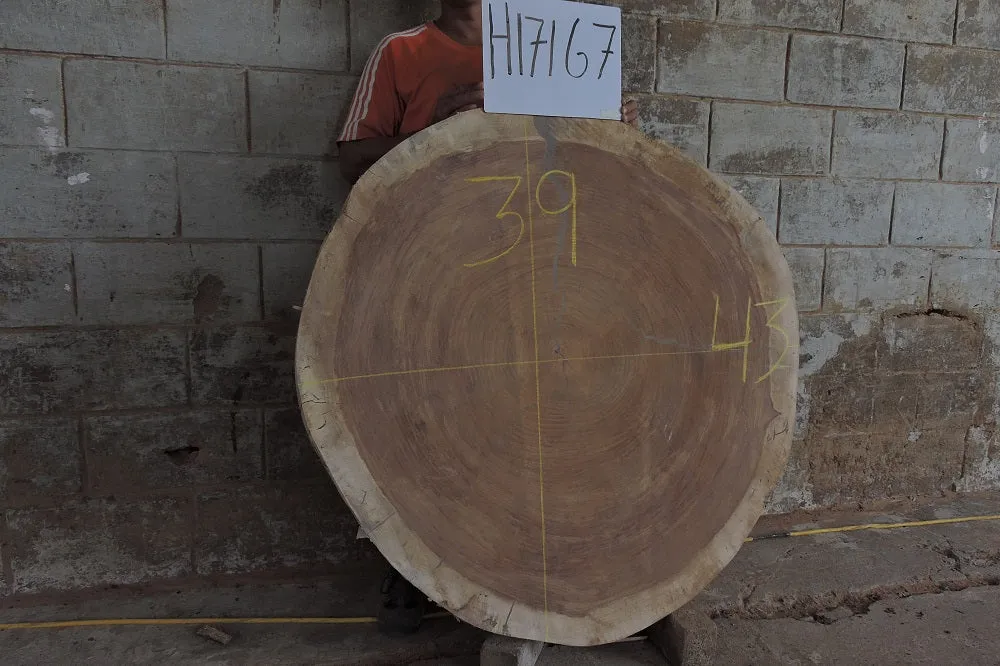 Slab LH17167