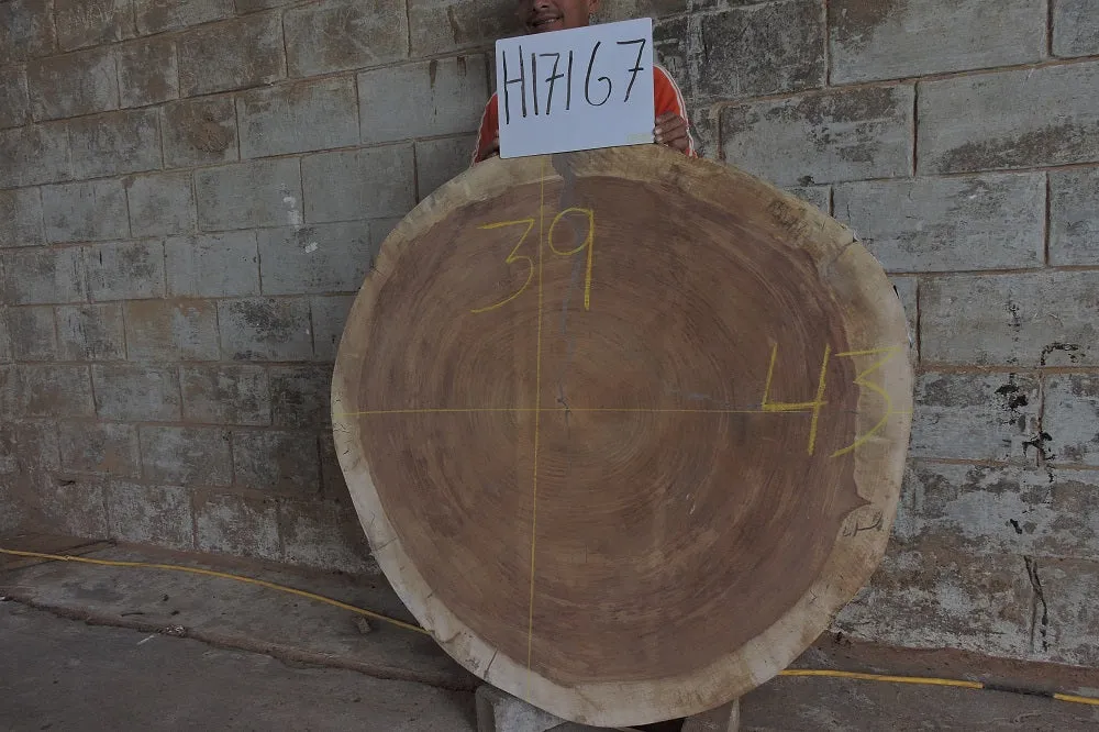 Slab LH17167