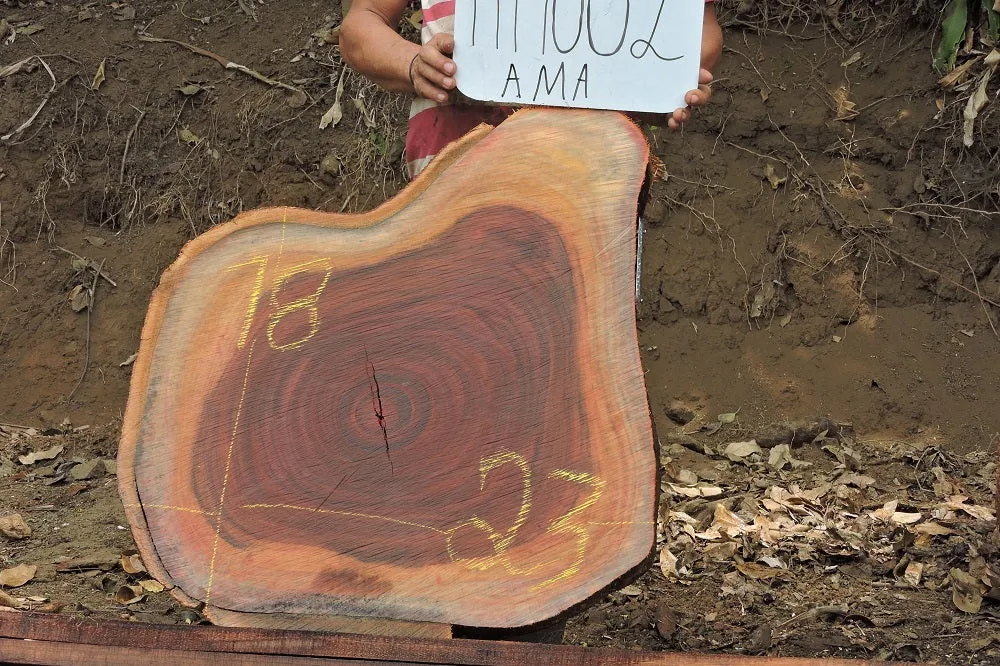 Slab LH19002AMA