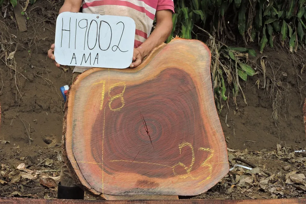 Slab LH19002AMA