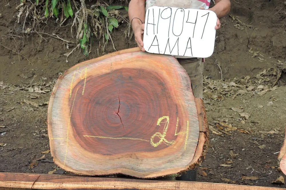 Slab LH19041AMA