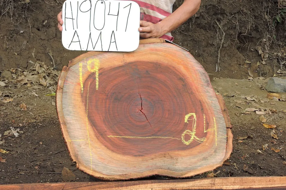 Slab LH19041AMA