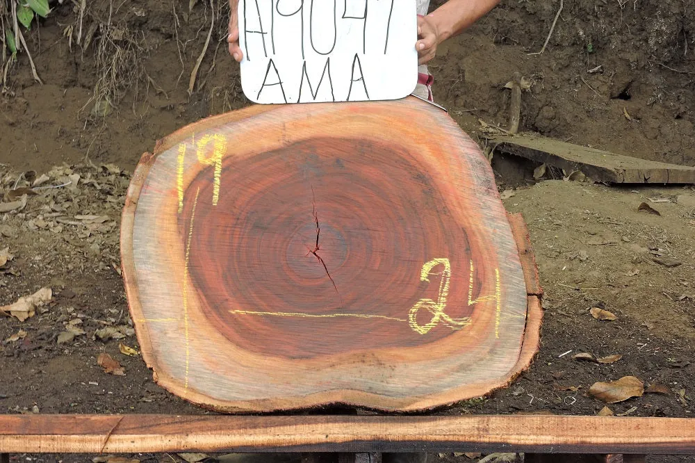 Slab LH19041AMA