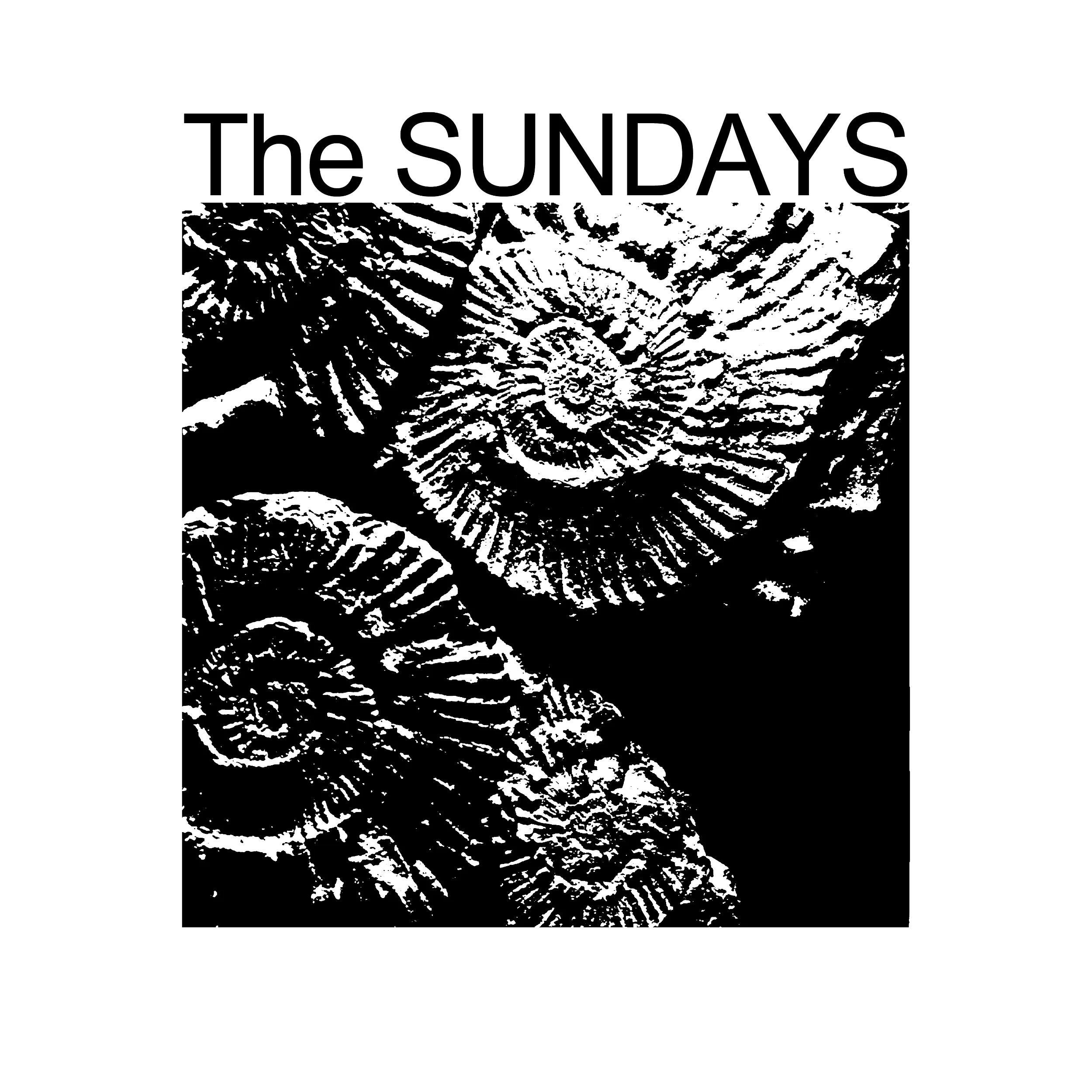 The Sundays Slim Fit Tee